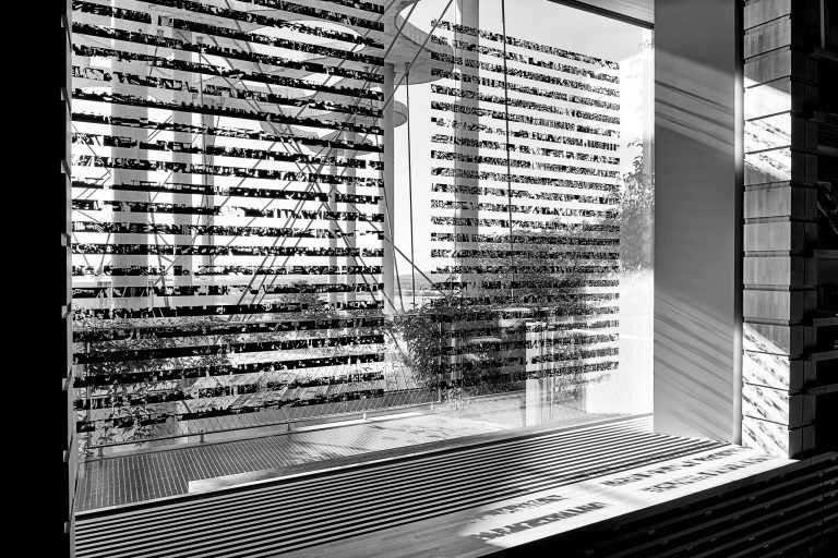 Nicolas Aiello, fondationmichalski.rtf, 2021Photographie de la sérigraphie sur verre réalisée pour la bibliothèque de la Fondation Jan Michalski, 243 x 348 cm, Collection Fondation Jan MichalskiPhoto © Tonatiuh Ambrosetti