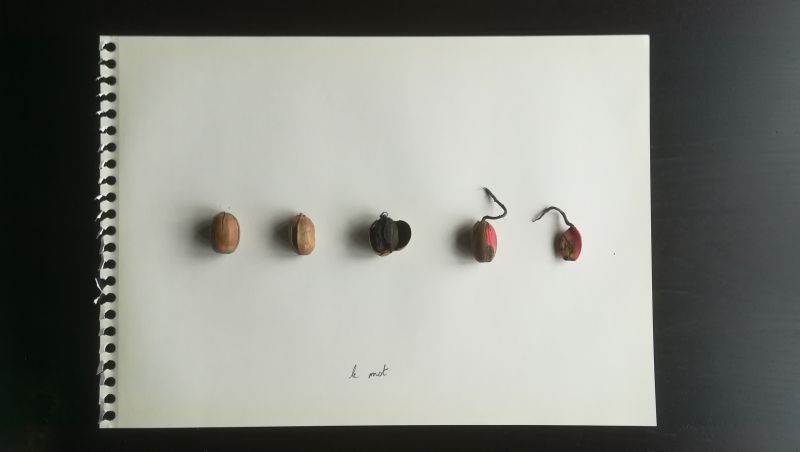 Jacques Demarcq, Natyot, Patrice Luchet, Perrine Le Querrec et Ronan Courty