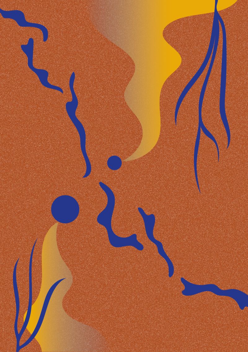 Nature Writing: conversation with Matteo Righetto