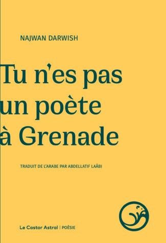 Tu n'es pas un poète à Grenade