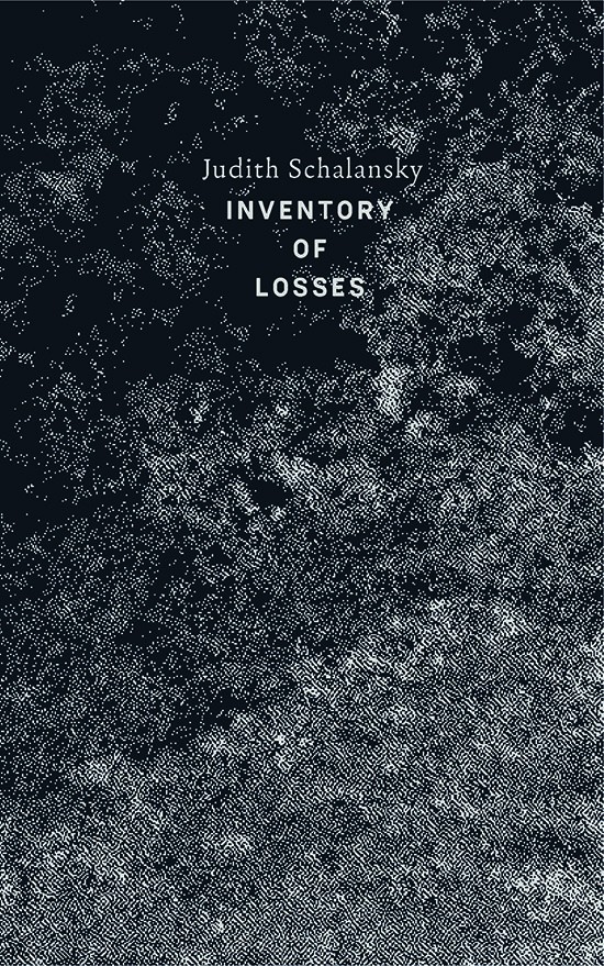 An Inventory of losses
